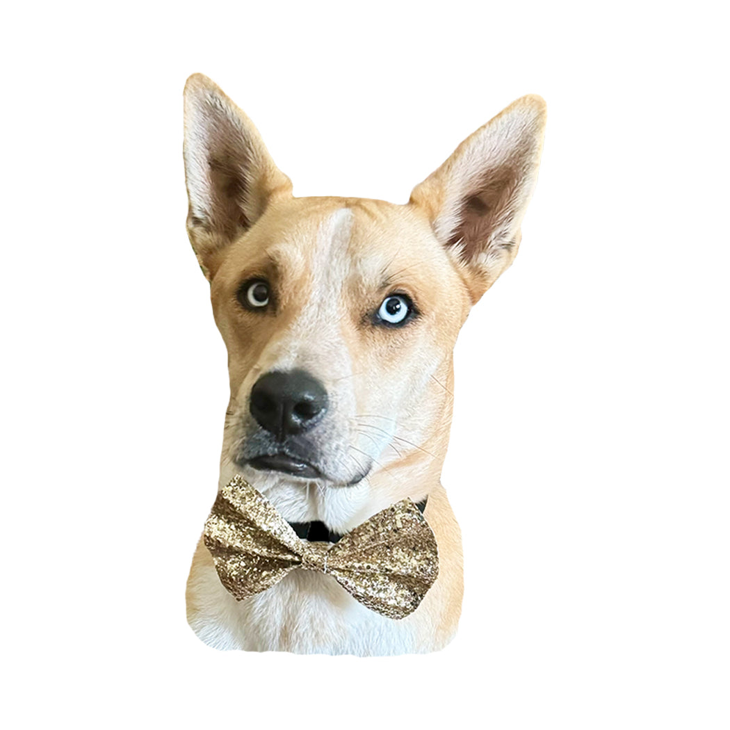 Navy BowTie for Dogs