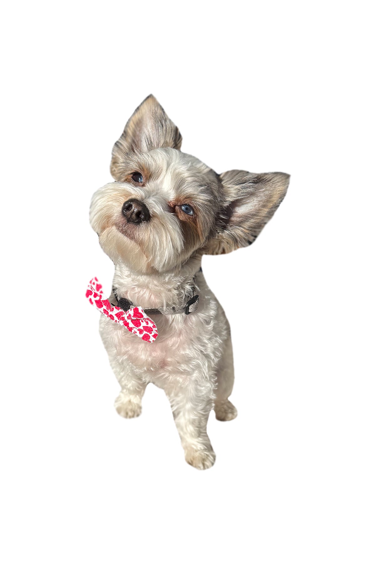 Pink Glitter BowTie for Dogs