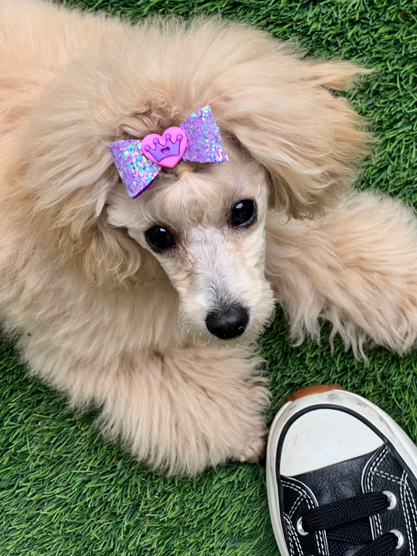 Pink Heart Purple Glitter