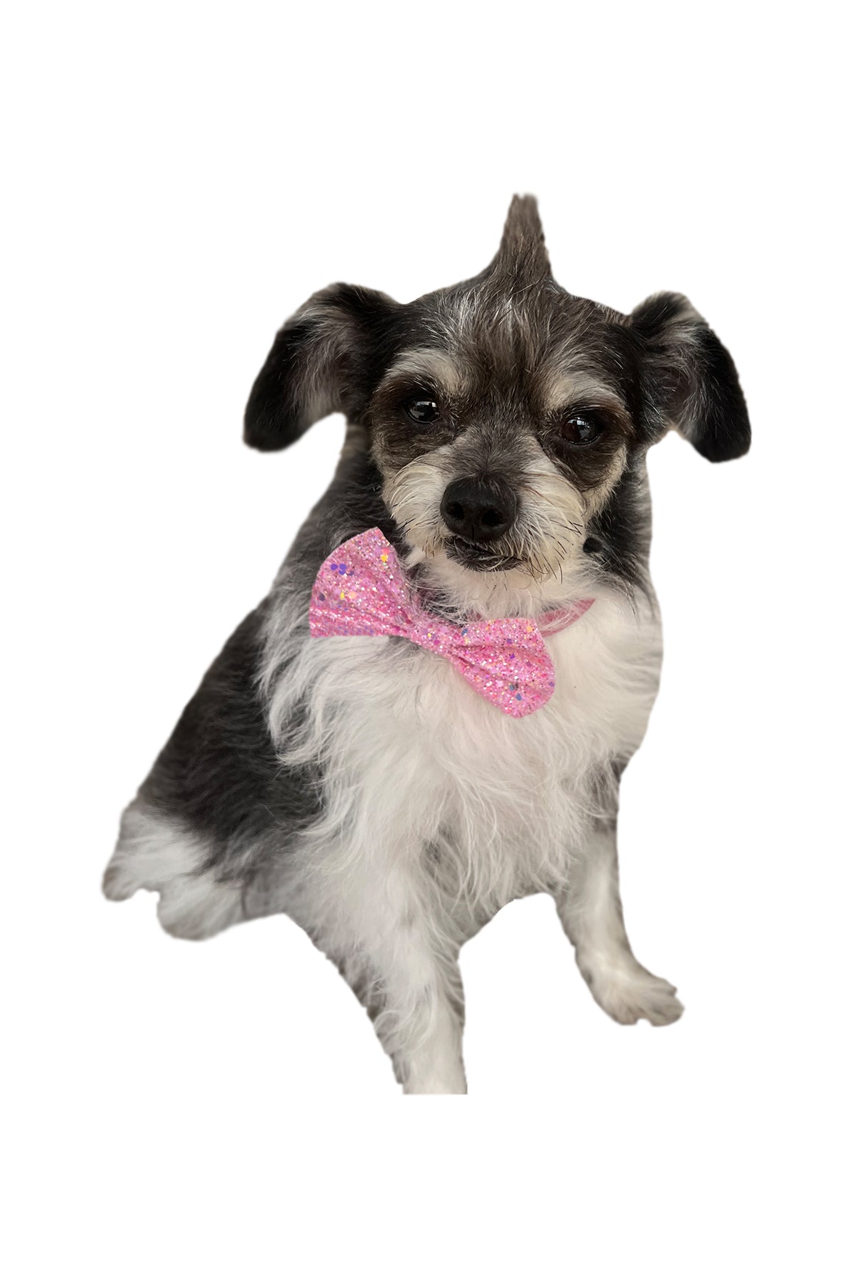 Pink Glitter BowTie for Dogs