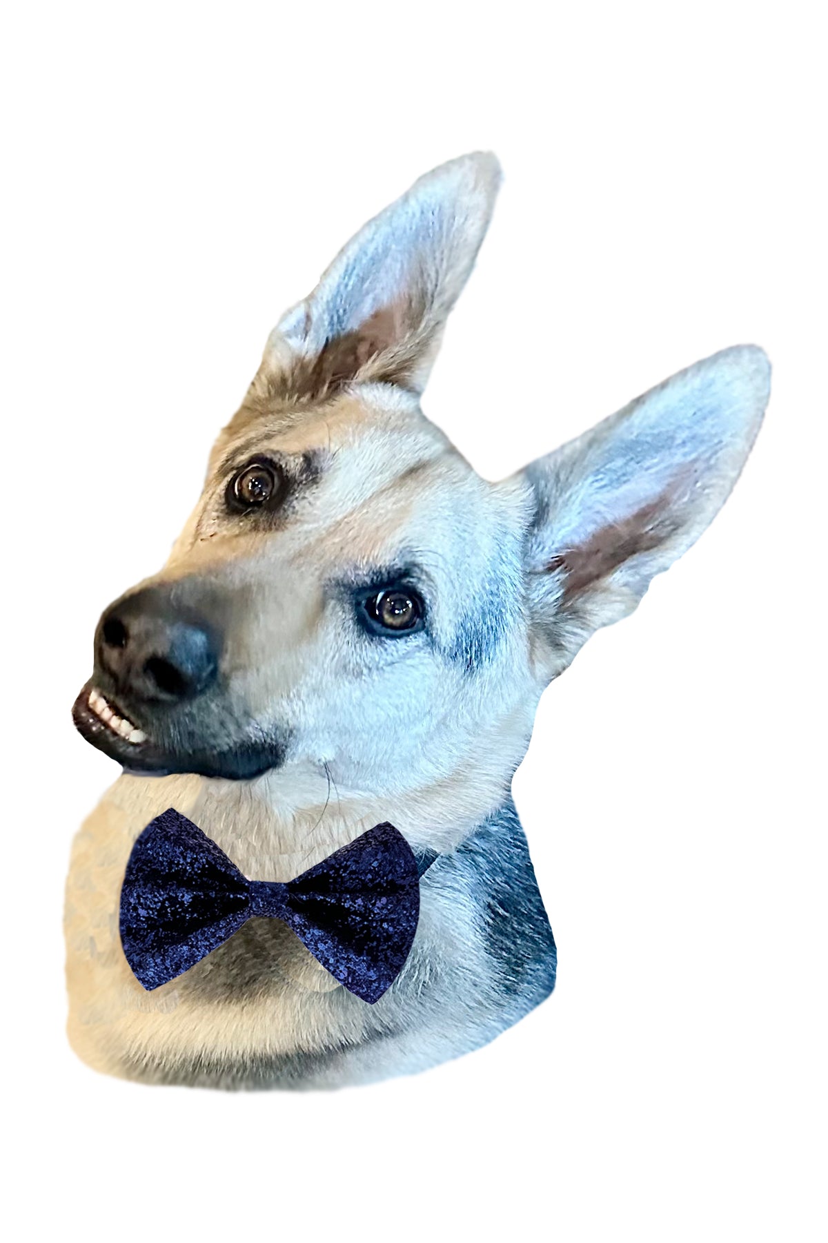 Pink Glitter BowTie for Dogs